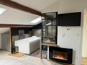 Duplex lumineux sur gde TERRASSE, BALNEO double, parking privé, CLIM, local vélos